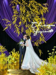 -DC大蔡婚礼策划(李公堤店)