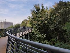 -玉树公园