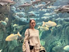 -波塞冬旅游度假区