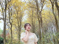 -天适樱花悠乐园