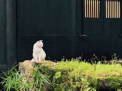 -灵隐飞来峰景区