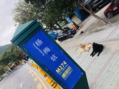 -杨梅坑