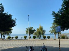 -野菌皇海景野生菌火锅(滨海大道店)