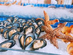 -视界美食自助餐厅·石家庄希尔顿酒店