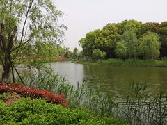 -九科绿洲