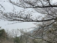 -杭州少年儿童公园