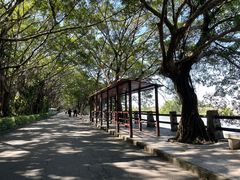 -大湾区中央湿地公园
