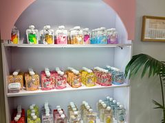 -青奢宠物·青奢猫舍