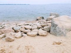 -瑶湖郊野森林公园