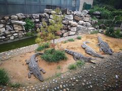 -石家庄市动物园