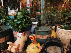 -IFIF 如果花園(宽厚里店)