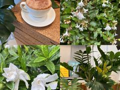 -Beans Solo豆号咖啡(百家湖花园店)