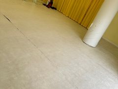 -勇气斑马·巴西柔术&跆拳道(浦东三林店)