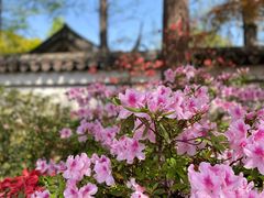 -惠山古镇·寄畅园