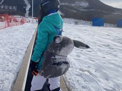 -鳌山滑雪度假区