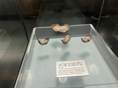 -衢州市博物馆