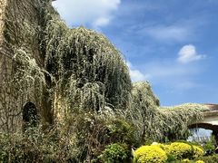 -府河摄影公园