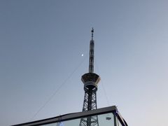 -梧桐餐厅(泉城路店)