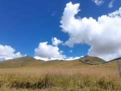 -黄河九曲第一湾