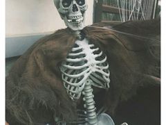 -济南方特东方神画