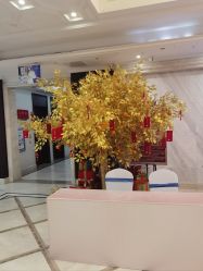 -南京医科大学友谊整形外科医院