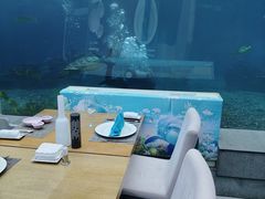 -涛·海底餐厅·美人鱼·自助餐·海底隧道(三亚海棠湾洲际度假酒店)