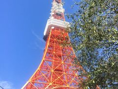 -东京塔海贼王主题公园