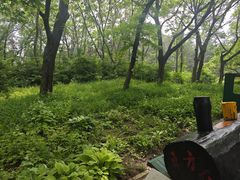 -沈阳植物园