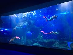 景点-多彩贵州城极地海洋世界