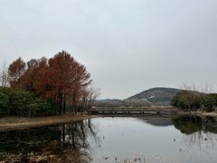 -长广溪湿地公园