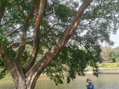 -东莞植物园