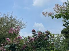 -杭州半山国家森林公园