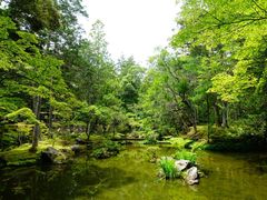 -西芳寺(苔寺)