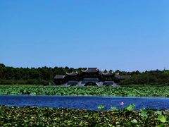 -上海海湾国家森林公园