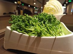 -海底捞火锅(苏宁生活广场店)