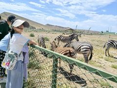 -新疆天山野生动物园