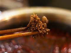 -大龙火锅(老店)