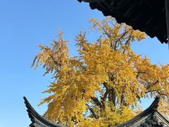 -常熟方塔园