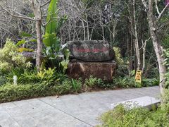 -广州市流溪河国家森林公园
