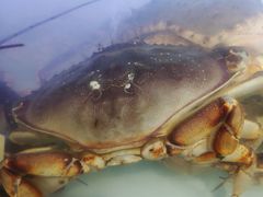 -物美超市(马家堡店)