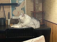 -隅cafe(傅厚岗店)