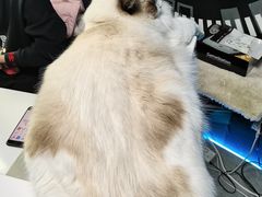 -零纪元VR体验馆·桌游(黄浦店)