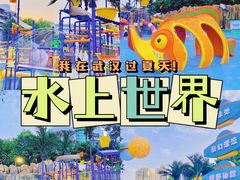 -武汉市青少年宫水上世界