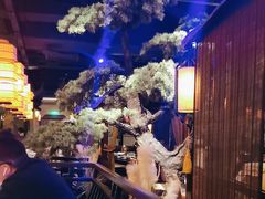-绿茶餐厅(财富购物中心店)