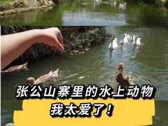 -张公山寨景区