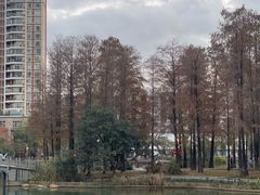 -四海公园(南山区)
