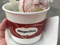 -哈根达斯(国瑞店)