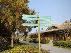 -东平国家森林公园