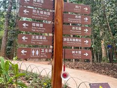 -中国科学院西双版纳热带植物园