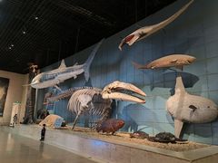 -浙江自然博物院(杭州馆)